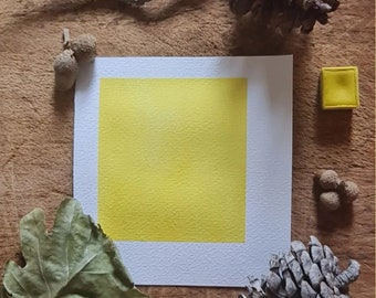 Aquarelle Artisanale faite à la main - Citron - Pour la peinture et la calligraphie - Teinte de jaune - Collection botanique - Jaune - Fleur