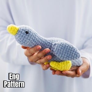 Crochet pattern Goose, Pattern in English, Amigurumi Goose