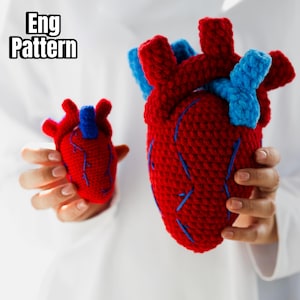 Häkelanleitung Anatomisches Herz, Pattern in Englisch, Amigurumi Anatomisches Herz