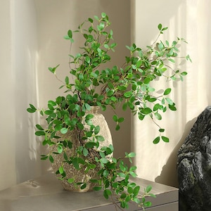 Foglie di Ficus finte con ramo lungo, ramoscelli di fogliame di Banyan, pianta di Aglaia Odorata, fiore artificiale, arredamento verde domestico, festa di nozze floreale