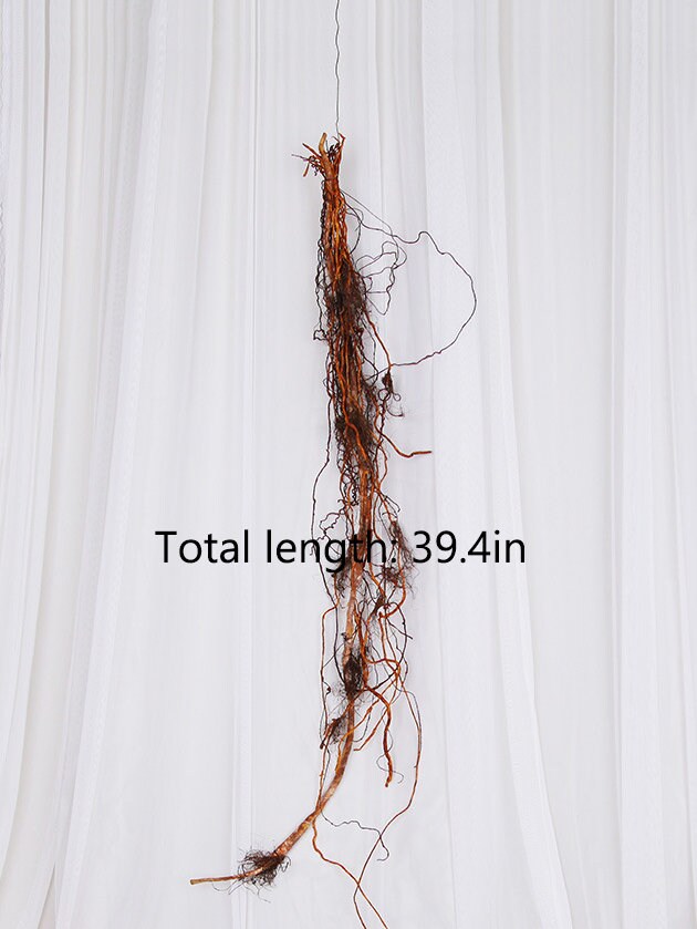 Fake Banyan Tree Roots, Faux Rattan Crafts, Artificial Flowers, Vintage ...