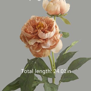 May include: Artificial champagne-colored peony flower stem with two blooms and green leaves. The stem is 24.01 inches long.