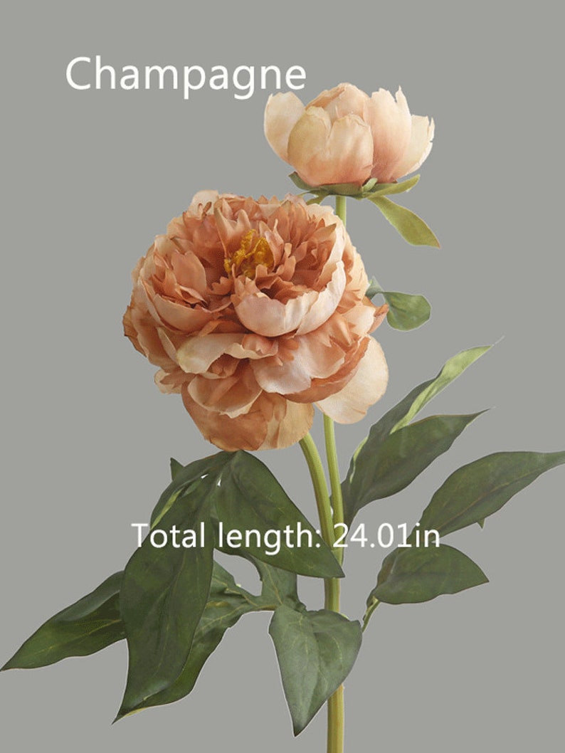 May include: Artificial champagne-colored peony flower stem with two blooms and green leaves. The stem is 24.01 inches long.