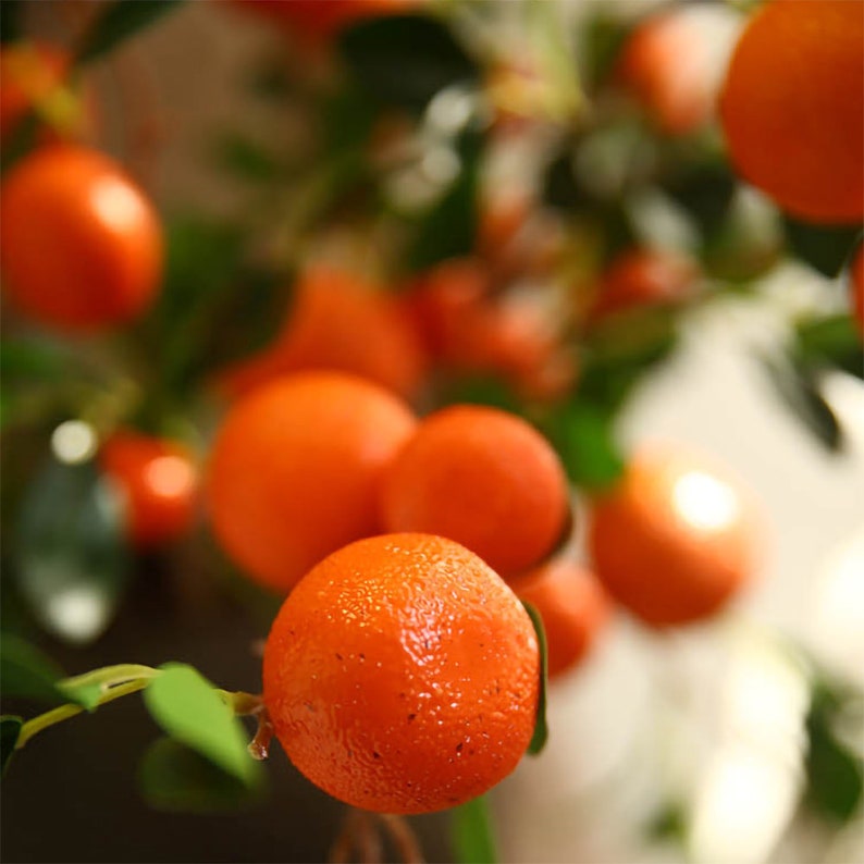 Artificial Orange Fruit Arrangement Fake Kumquat Stem Plastic Etsy