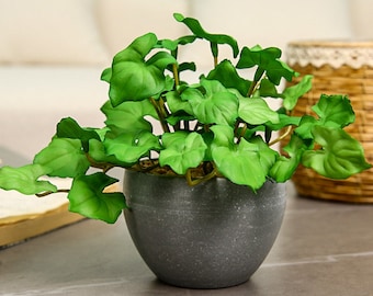 Fake Epipremnum Aureum Small Potted Plant, Fake Plant Crafts, Artificial Flowers, Home Greenery Decor, Wedding Party Arrangement Centerpiece