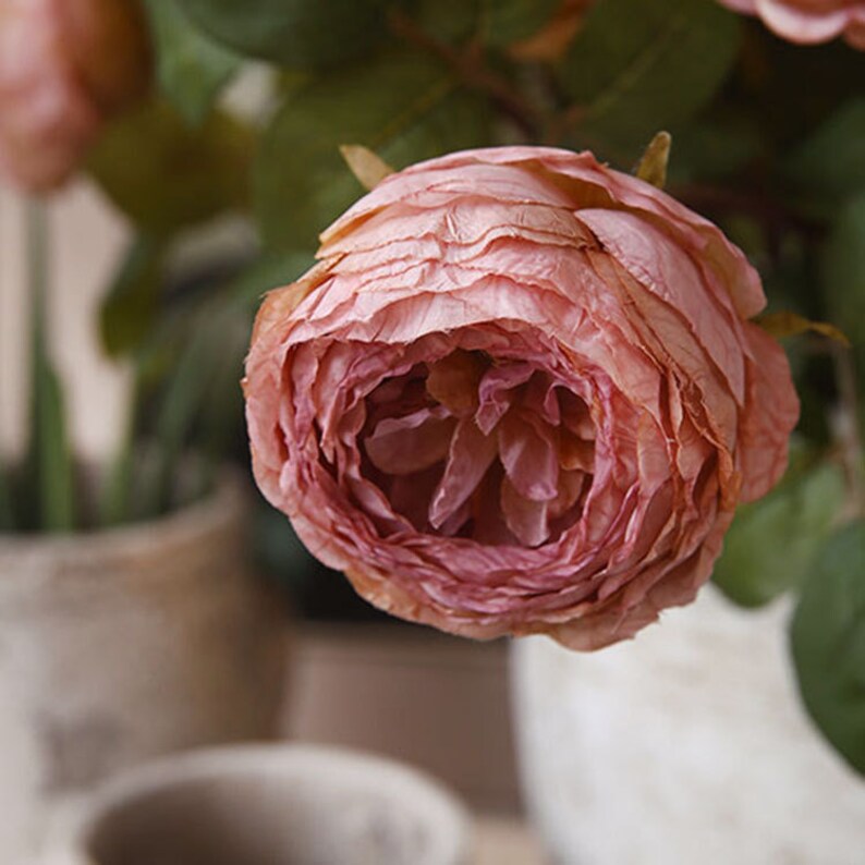Puede incluir: Una sola rosa rosa p&aacute;lido con una textura arrugada. La rosa est&aacute; enfocada, mientras que el fondo est&aacute; desenfocado.