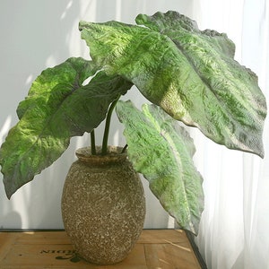 Könnte beinhalten: Eine große grüne Blattpflanze mit großen, strukturierten Blättern in einem braunen, strukturierten Keramiktopf.