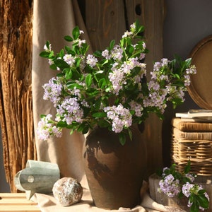 May include: A bouquet of light purple flowers with green leaves in a brown ceramic vase. The vase is sitting on a table with a wooden surface.