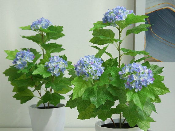 growing lights for plants Bionic Grow Light main image 0