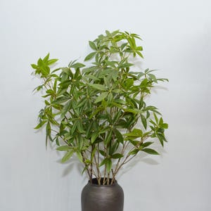 以下が含まれることがあります： 複数の茎と鮮やかな多葉の葉を持つ、緑豊かな人工植物。 植物は、無地の白い背景に対して、濃い茶色のセラミック花瓶に飾られています。 葉は自然な外観をしています。