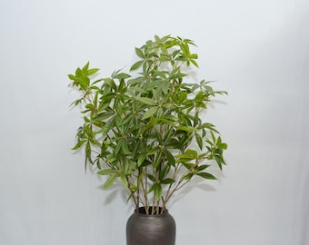 Faux Money Tree Branch Artificial Pachira Aquatica Stem Tall Greenery Lucky Plant Farmhouse Vase Home Greenery Decor