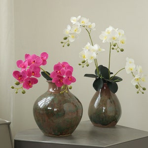 Artificial Phalaenopsis Plant with Leaves and Roots, Fake Phalaenopsis Flower, Realistic Orchid Stem, Home Floral Decor, Filler for Bouquet