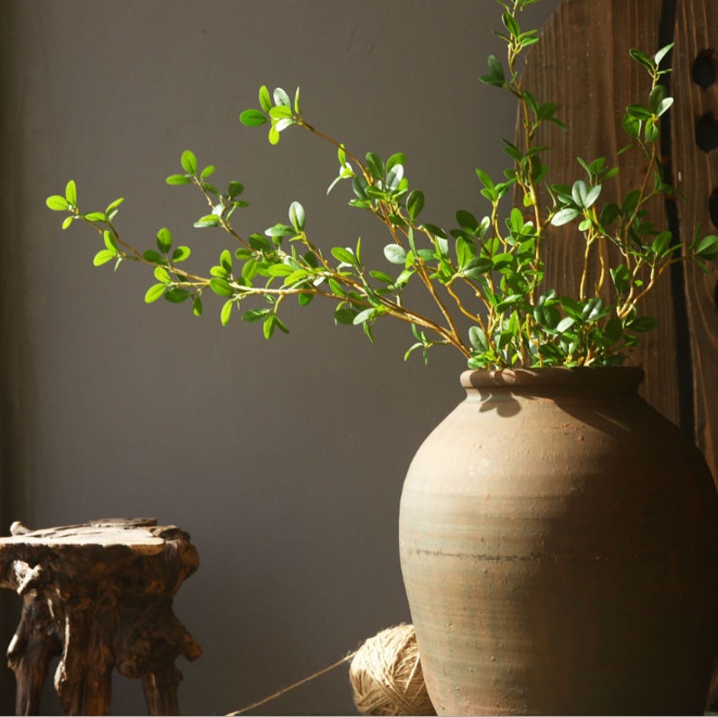 May include: A green leafy plant in a brown ceramic pot. The pot has a wide base and a narrow neck. The plant is in focus, and the background is blurred.