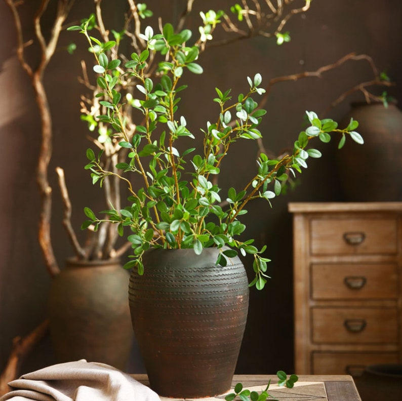 May include: A green leafy plant in a dark brown ceramic pot with a textured surface. The plant is in focus, and the background is blurred.