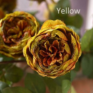 Puede incluir: Primer plano de una rosa amarilla seca con tonos marrones y naranjas. La rosa est&aacute; enfocada, mientras que el fondo est&aacute; desenfocado.