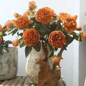 May include: A bouquet of artificial orange peonies in a rustic wooden vase. The flowers are arranged in a natural, flowing style, with some buds still closed. The vase is made of driftwood and has a unique, organic shape.