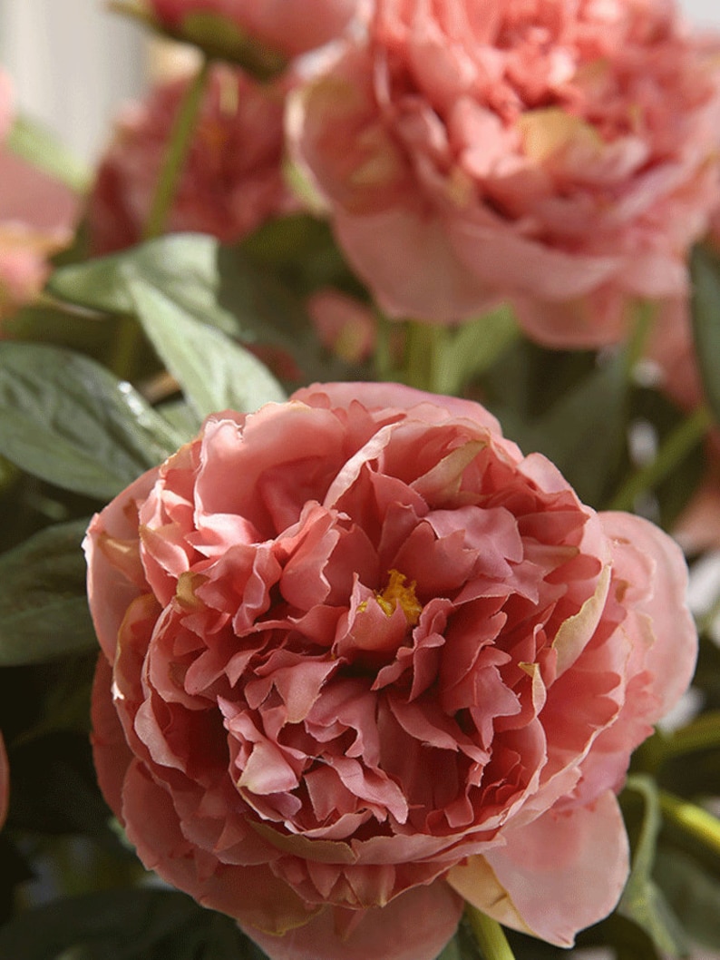 May include: A bouquet of pink peonies with green leaves. The peonies are in full bloom and have a delicate, ruffled texture.