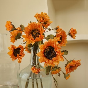 Könnte beinhalten: Ein Strauß getrockneter orangefarbener Sonnenblumen in einer durchsichtigen Glasvase. Die Vase steht auf einem Tisch mit weißem Hintergrund.