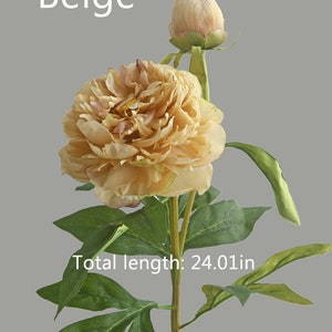 May include: Beige artificial peony flower with a bud, green leaves, and a brown stem. Total length: 24.01 in.