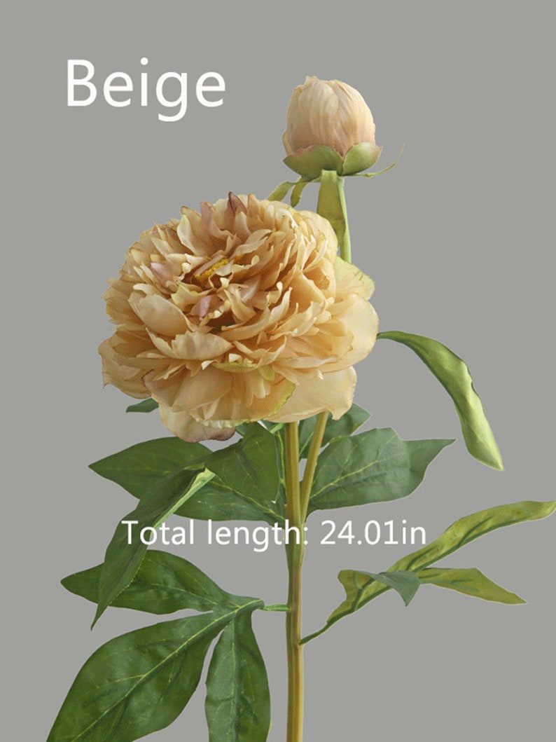 May include: Beige artificial peony flower with a bud, green leaves, and a brown stem. Total length: 24.01 in.