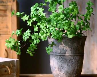 Op de afbeelding: Een groene, bladerige plant met kleine bladeren in een grijze keramische pot. De pot heeft een getextureerd oppervlak en een brede basis.