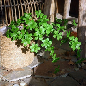 Artificial Pieris Japonica Long Branch, Fake Spring Greenery Stem with Leaf, Faux Foliage Twig, Home Plant Decor, Wedding Plant Arrangement