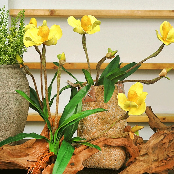 Paphiopedilum Orchidee Pflanze mit Wurzeln und Blättern, gefälschte Frauenschuh Orchidee, künstliche Blumen, Haus Blumendekor, Topfpflanzen Handwerk