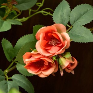 Puede incluir: Un grupo de tres rosas de color melocot&oacute;n con hojas y tallos verdes. Las rosas est&aacute;n en flor y tienen un aspecto delicado y con volantes.