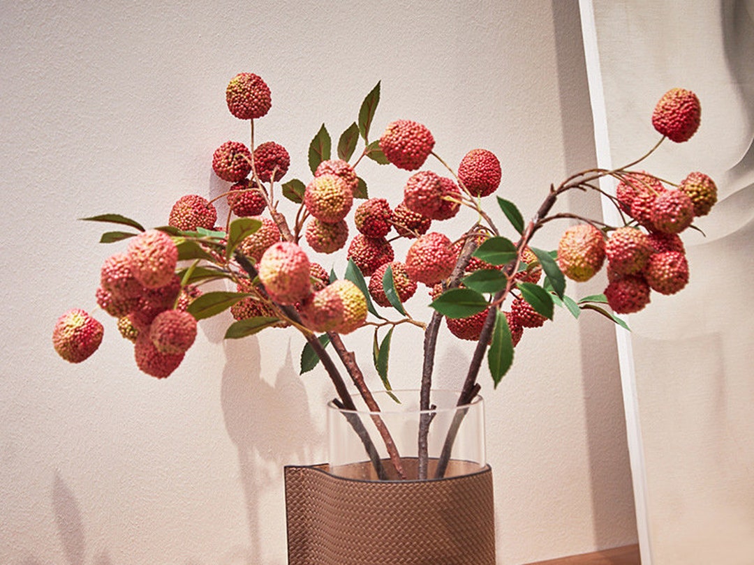 Lychee Fruit Branch With Leaves, Fake Lychee Crafts, Rustic Fruits
