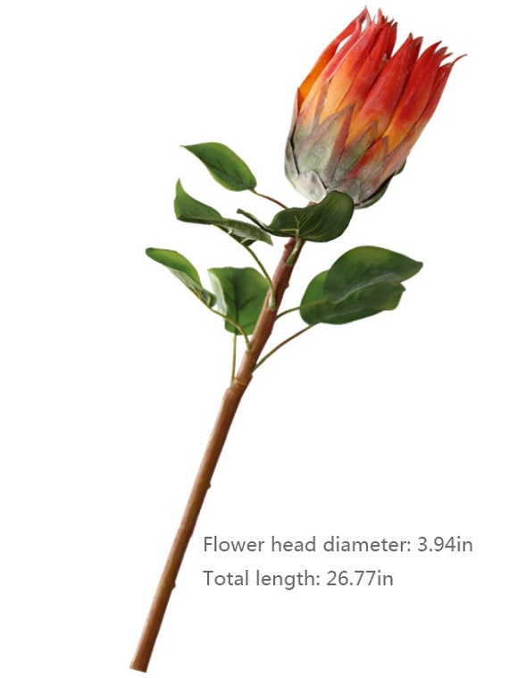Quality Artificial King Protea from $11.6 24' Tall,4' Flowerhead Faux Floral 