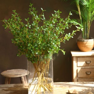 May include: A vase filled with artificial green leafy branches. The vase is clear glass and the branches are arranged in a bouquet.