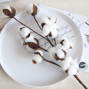 Natural Cotton Stem, Dried Flower Branch, Fake Spray Decor, Realistic Rustic Floral, Wedding Party Arrangement, Dining Table Centerpiece