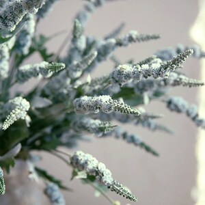 Puede incluir: Un ramo de flores blancas con tallos verdes. Las flores est&aacute;n dispuestas en un jarr&oacute;n y est&aacute;n enfocadas. El fondo est&aacute; desenfocado.