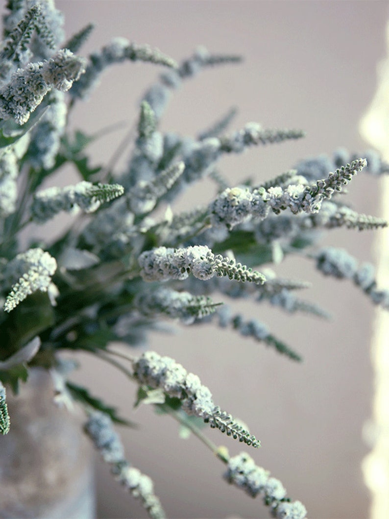 Puede incluir: Un ramo de flores blancas con tallos verdes. Las flores est&aacute;n dispuestas en un jarr&oacute;n y est&aacute;n enfocadas. El fondo est&aacute; desenfocado.