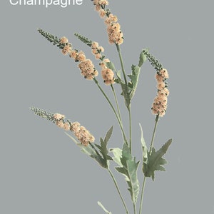 Puede incluir: Un ramo de flores artificiales con delicadas flores de color marr&oacute;n claro y hojas verdes. Las flores est&aacute;n dispuestas en un ramo y tienen un aspecto natural y realista. El texto "Champagne" es visible en la esquina superior izquierda de la imagen.