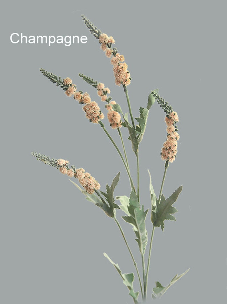 Puede incluir: Un ramo de flores artificiales con delicadas flores de color marr&oacute;n claro y hojas verdes. Las flores est&aacute;n dispuestas en un ramo y tienen un aspecto natural y realista. El texto "Champagne" es visible en la esquina superior izquierda de la imagen.