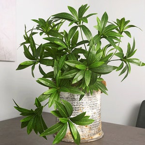 Faux Elaeocarpus Branch with Leaves, Fake Greenery Twig, Artificial Flower Crafts, Home Plant Decor, Wedding Floral Arrangement, for Bouquet