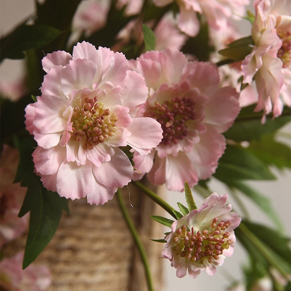 Tallo de flor realista de Scabiosa, clavel artificial con brote, crisantemo de margarita rústica falsa, decoración floral de fiesta de bodas, selección de ramo de bricolaje