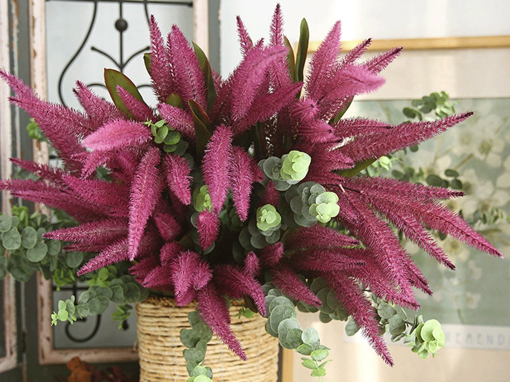 Foxtail plant - Etsy 日本