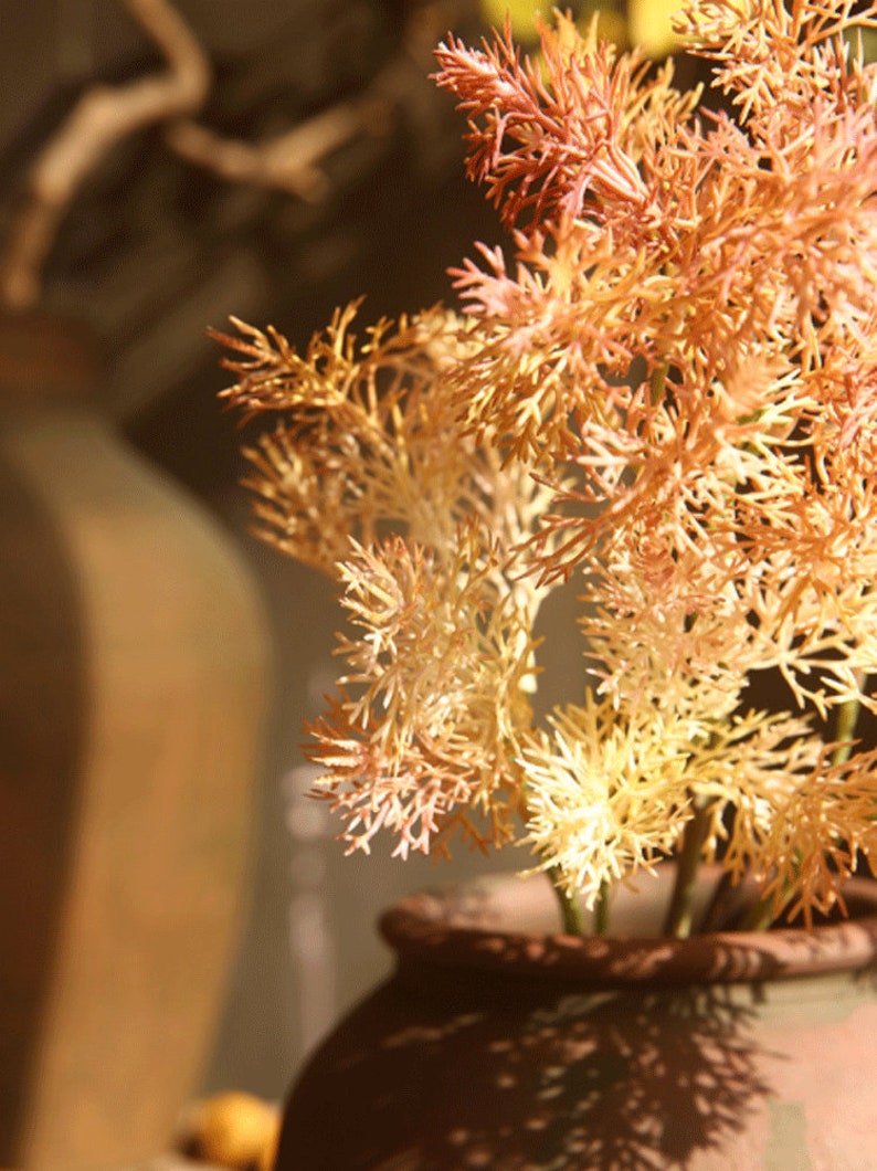 May include: A close-up of a dried, light brown and pink plant with delicate, feathery branches. The plant is in a terracotta pot.