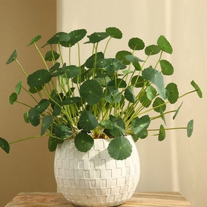 Fake Marsh Pennywort Plant, Hydrocotyle Vulgaris, Chinese Coin Plant, Small Lotus Leaf, Artificial Flower, Home Greenery Decor, Table Floral