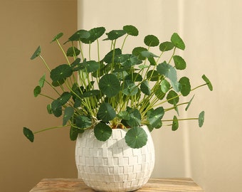 Fake Marsh Pennywort Plant, Hydrocotyle Vulgaris, Chinese Coin Plant, Small Lotus Leaf, Artificial Flower, Home Greenery Decor, Table Floral