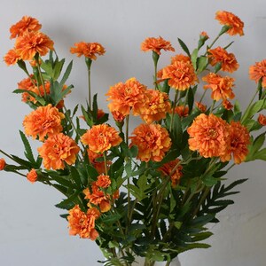 Puede incluir: Un ramo de flores de cal&eacute;ndula naranja con hojas verdes en un jarr&oacute;n blanco. Las flores est&aacute;n dispuestas en un jarr&oacute;n con una superficie texturizada.
