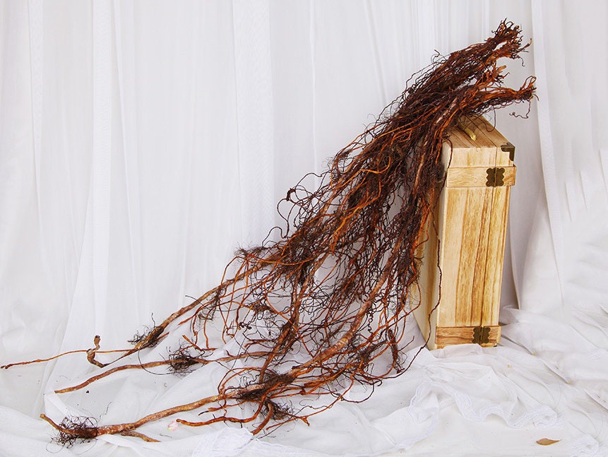 Fake Banyan Tree Roots, Faux Rattan Crafts, Artificial Flowers, Vintage ...