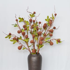 May include: A decorative floral arrangement featuring brown, pear-shaped pods and green leaves on slender branches. The branches are arranged in a dark brown ceramic vase, creating a natural, earthy aesthetic. The arrangement is set against a white background.