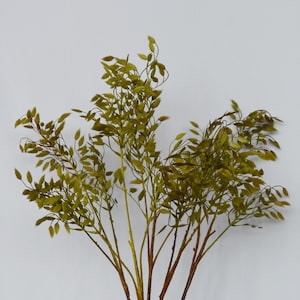 May include: A bundle of artificial greenery with slender, brown stems and small, olive-green leaves. The leaves are clustered along the stems, creating a full, textured appearance. The faux plant is set against a plain white background.