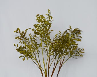 Artificial Sea Oats Stem, Chasmanthium Latifolium, Faux Wild Oats Greenery Tall Vase Filler Minimalist Home Floral Decor, Plant Arrangement