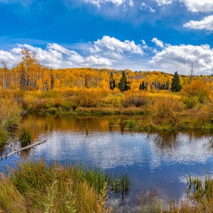 Golden Fall Reflections Wall Art Print