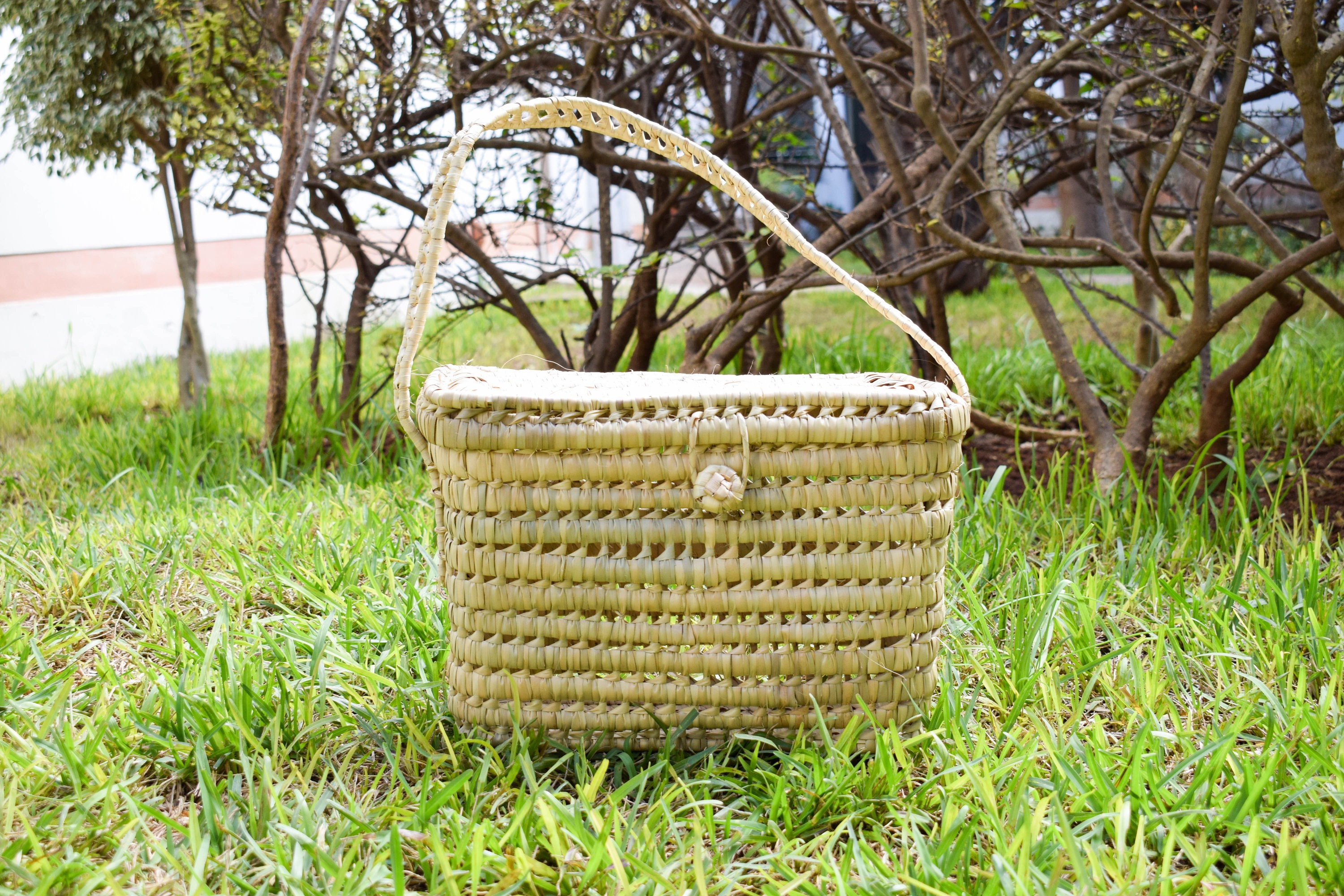 Froshine Wicker Picnic Baskets with Lid and Handle Oval Picnic Hampers Candy Storage Basket Wedding Basket with Lined 