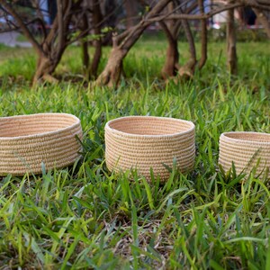 May include: Three woven baskets of varying sizes, made of natural materials, are arranged on a bed of green grass. The baskets are oval shaped and have a light brown color.